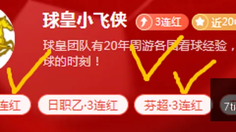世界杯，世界杯2023， 113640